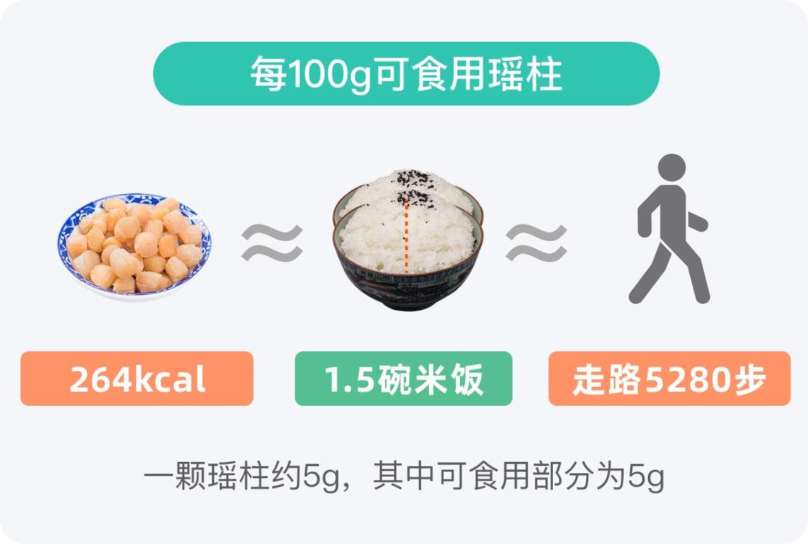 瑶柱的热量