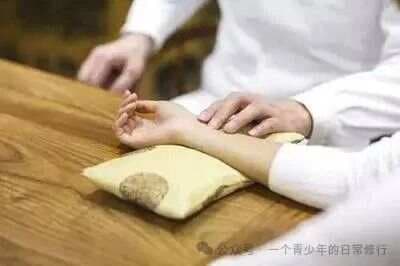 脉法入门指南：非专业人员也能学会的健康诊断