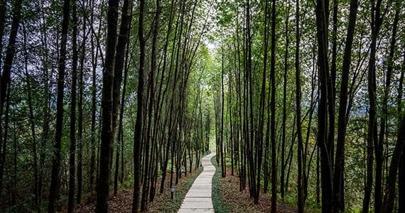 如何用塔罗牌解读运势更好？怎样才能用塔罗牌解牌更准？