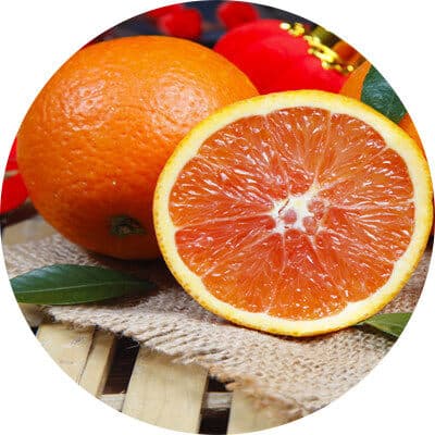 玫瑰血橙：营养价值与栽培技术全解析