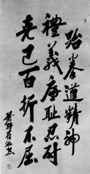 跆拳道修炼秘诀：从基础到实战的全面指南
