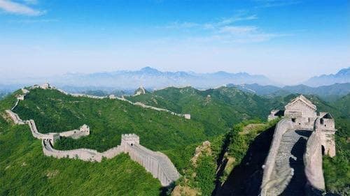 鳄鱼在生态系统中的作用及其保护意义