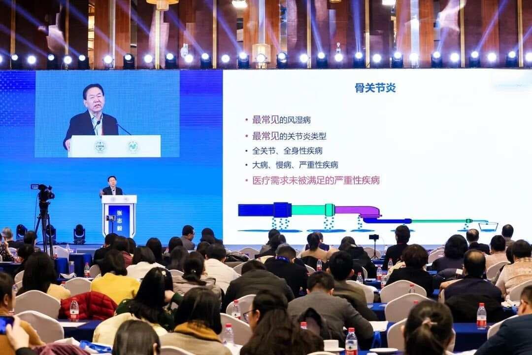 专家解读《中国膝骨关节炎临床药物治疗专家共识2024版》