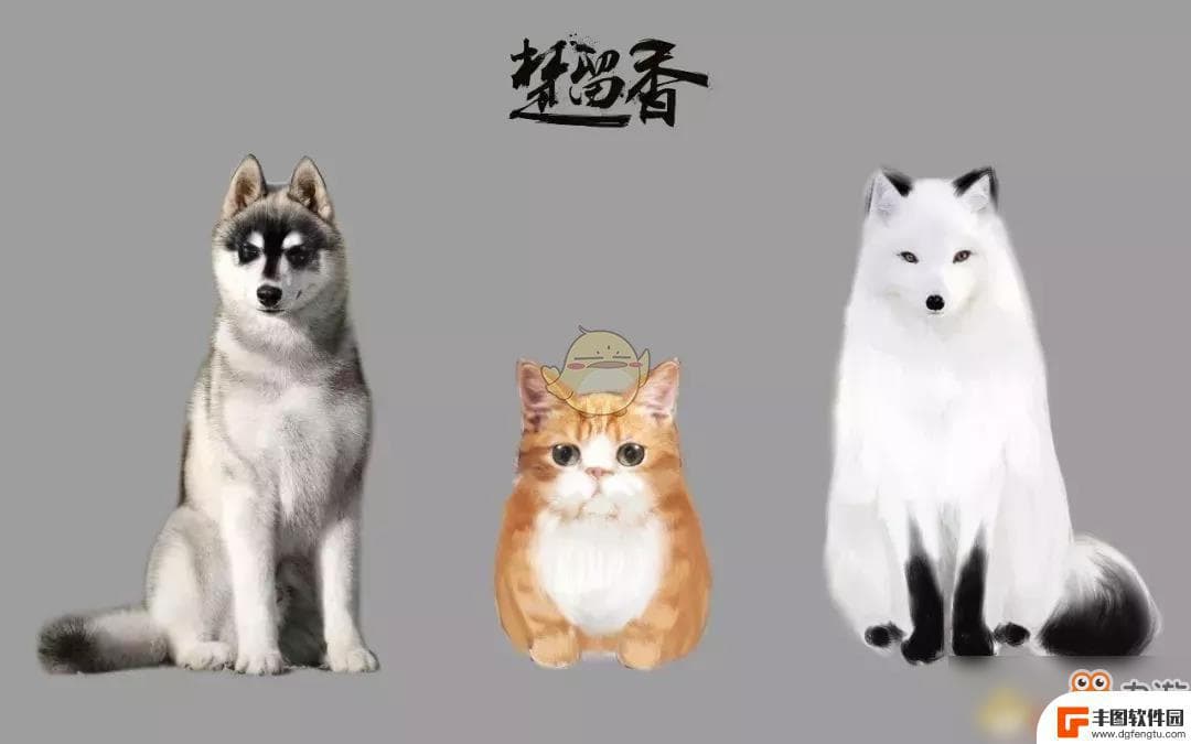 手游《一梦江湖》宠物系统玩法指南
