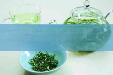 茶花的功效与作用：从抗氧化到美容养颜的全方位健康饮品