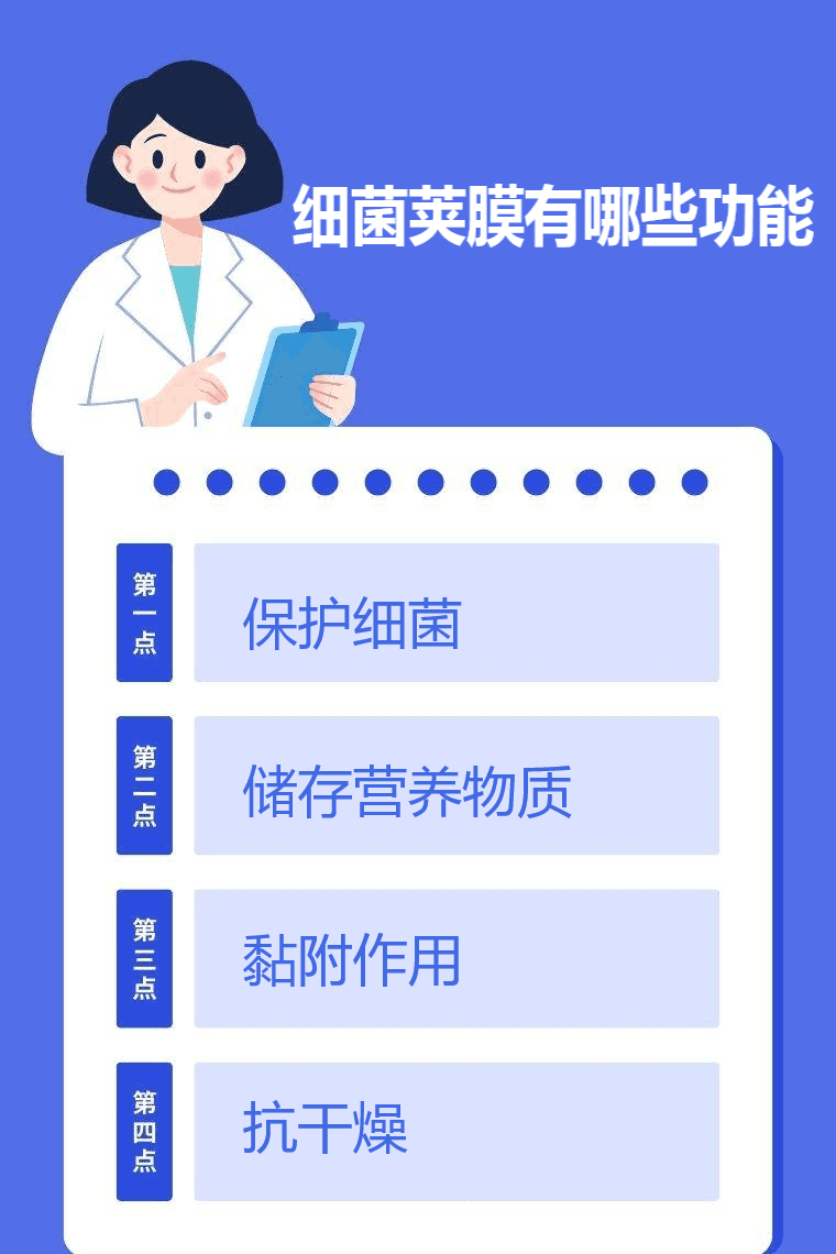 细菌荚膜有哪些功能