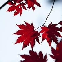 大体老师为什么叫大体