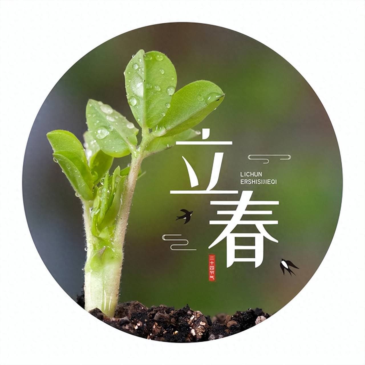 立春时节，昼夜温差大？揭秘“白天立春暖洋洋，晚上立春冻死牛”