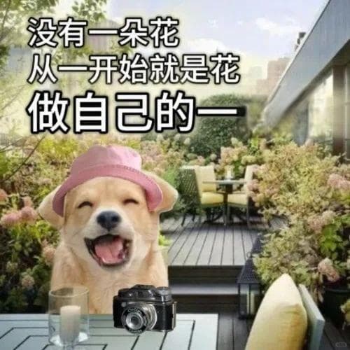 你是完整而广阔的存在 |《觉醒：在日常生活中练习正念》