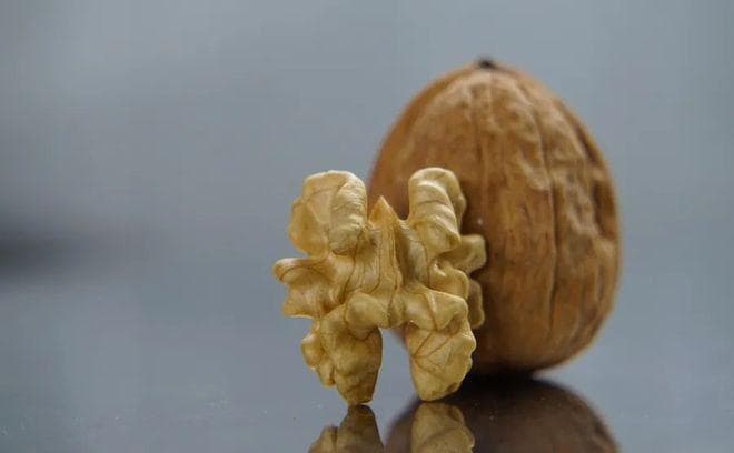 核桃真能补脑？最新研究：早上吃点核桃，可增强大脑功能，改善一天的反应速度