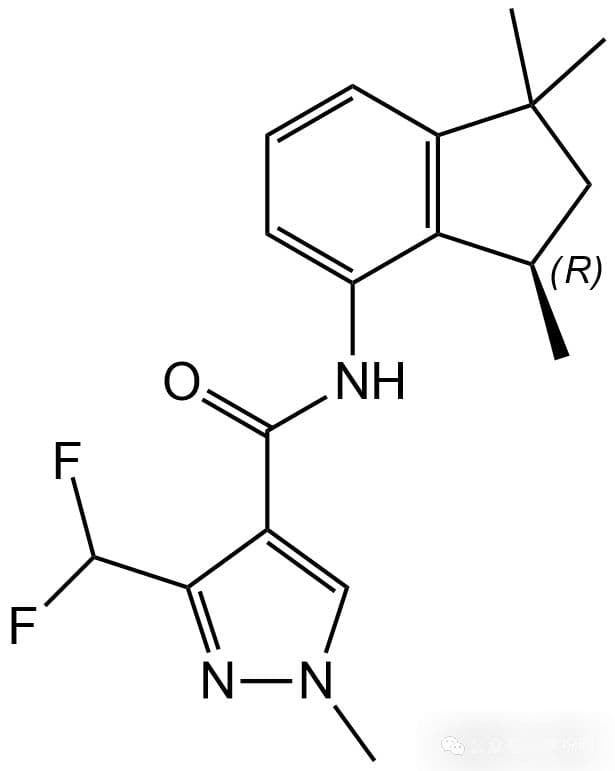 新型吡唑酰胺类杀菌剂—茚吡菌胺