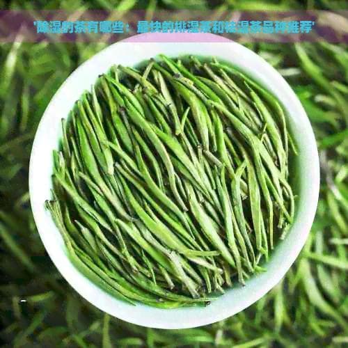 '除湿的茶有哪些：最快的排湿茶和祛湿茶品种推荐'