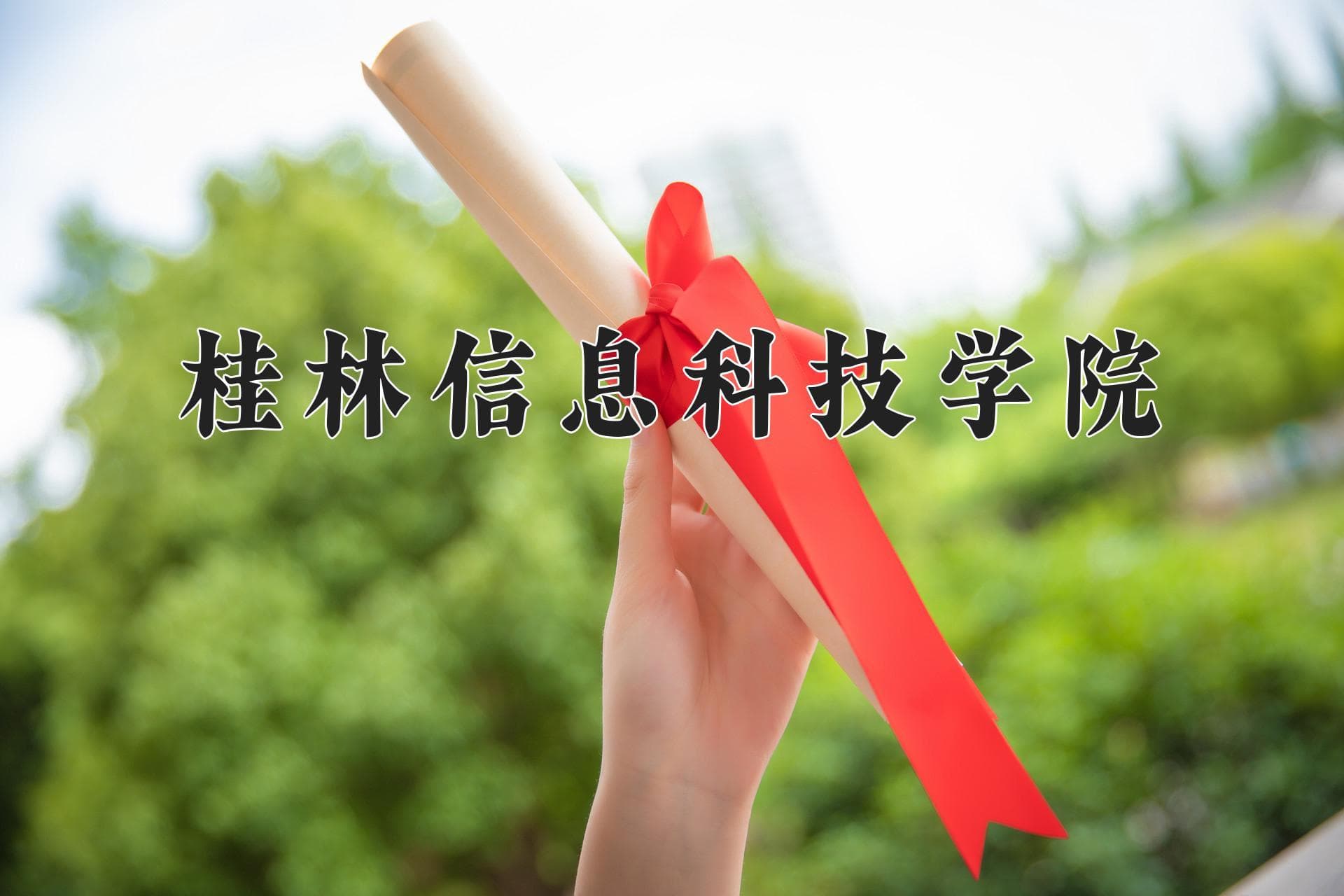 桂林信息科技学院公布2024年各省录取分数线