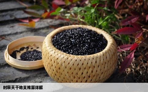 时辰的天干地支如何推算