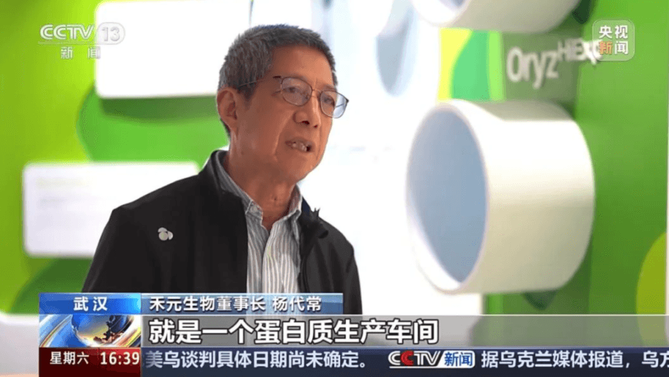 全球首创！稻米造血技术实现人血清白蛋白规模化生产