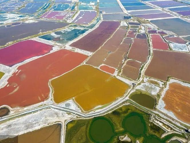 盐湖也会变色！是谁把盐湖当做调色盘？