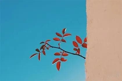 罗盘怎么看财位,家中财位最简单的找法