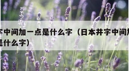 井字中间加一点是什么字