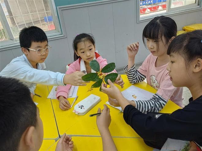 武汉新河街小学举办桂花艺术展 学生创意作品成校园新风景