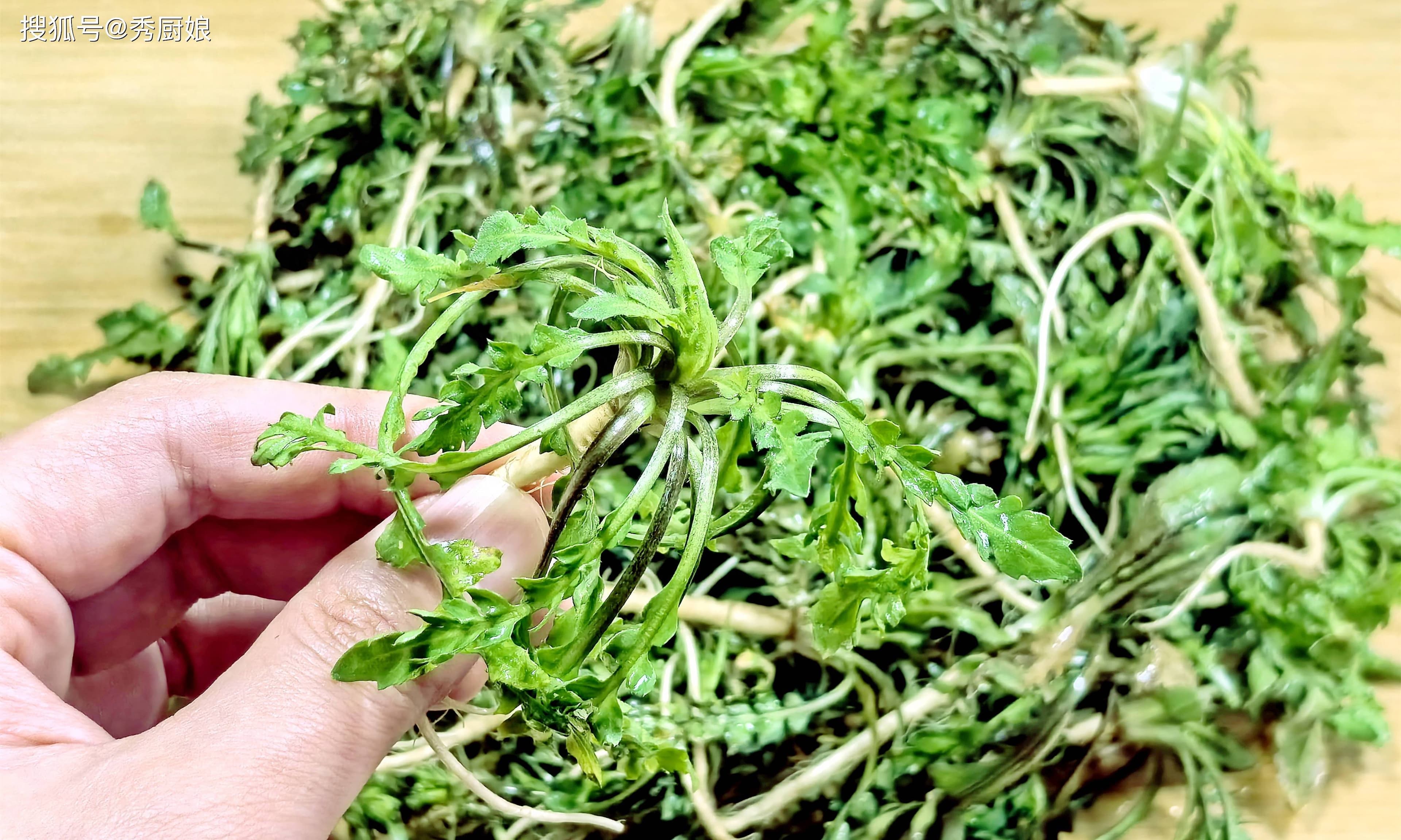 立春后看到这菜大胆吃！一利尿、二刮油、三增免疫，特别是包饺子