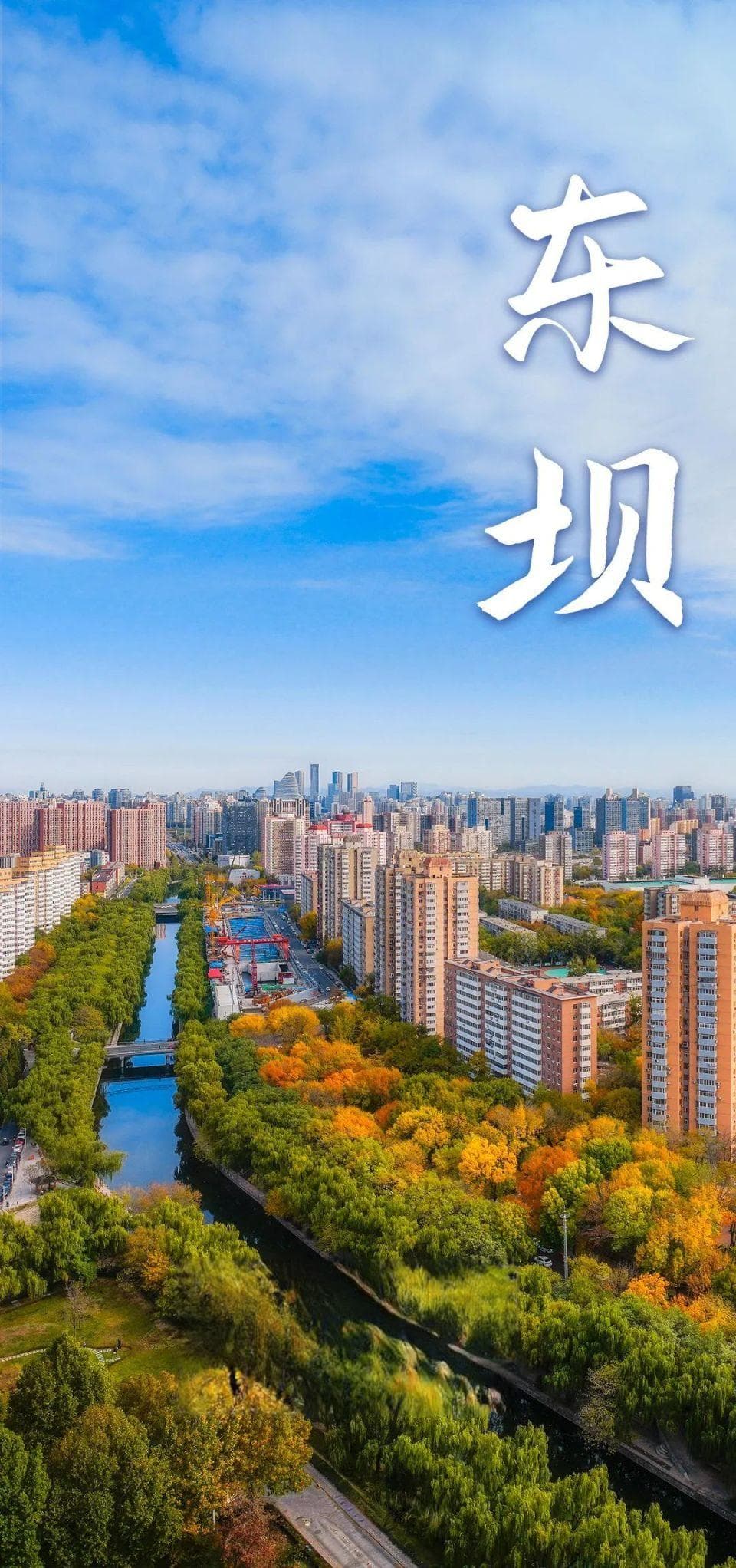沿河生长的“国际坝”
