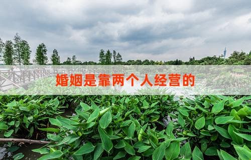婚姻是靠两个人经营的：如何建立稳固的伴侣关系