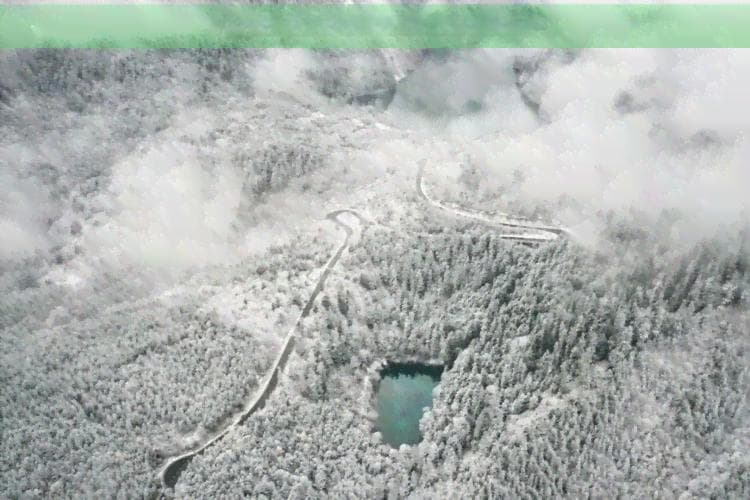 四川熊猫基地必去景点推荐：旅游好玩的必看清单