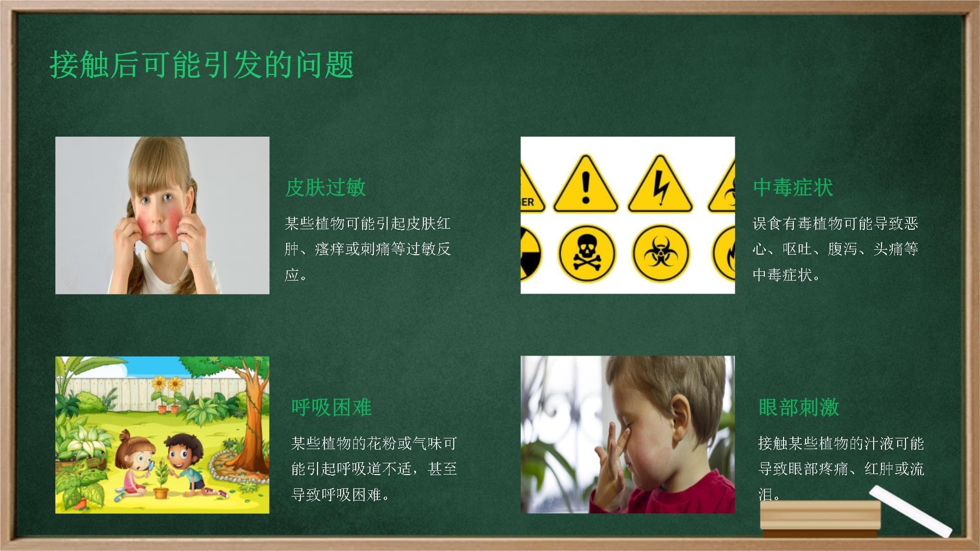 有些植物不能碰：幼儿园安全教育