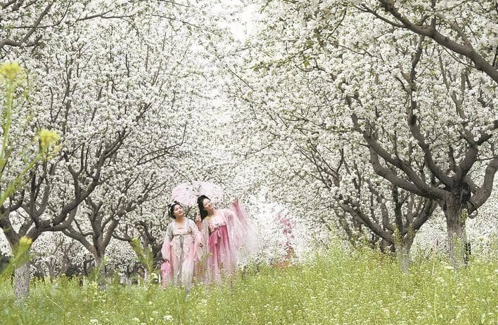 “3小时旅游圈”持续圈粉 周末游步入发展新周期