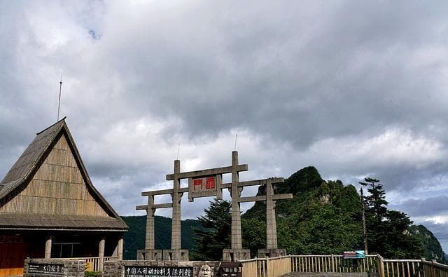 神农架天燕景区：彩虹桥、野人洞与原始森林的神秘之旅