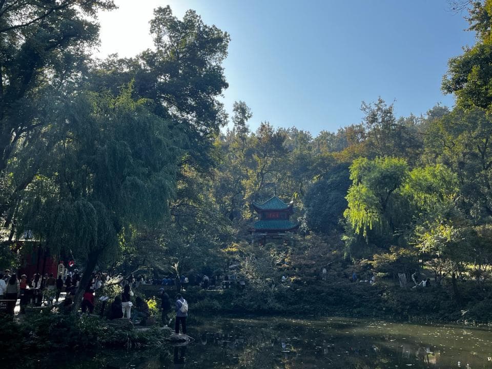 长沙立冬日暖，岳麓山枫叶预计月底转红