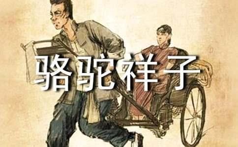 骆驼祥子主要内容及章节概括