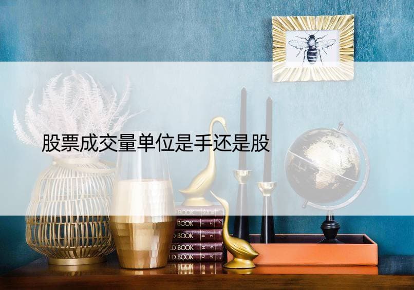 股票成交量单位是手还是股？