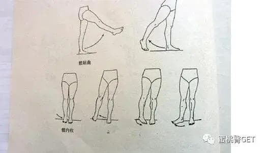 新手练臀101：臀部肌肉图解，如何高效练出翘臀，只有干货