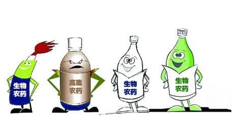 防治冬枣害虫所应用的生物农药