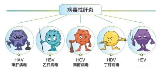 患上了乙肝就会发展为肝癌吗？医生来“剧透”