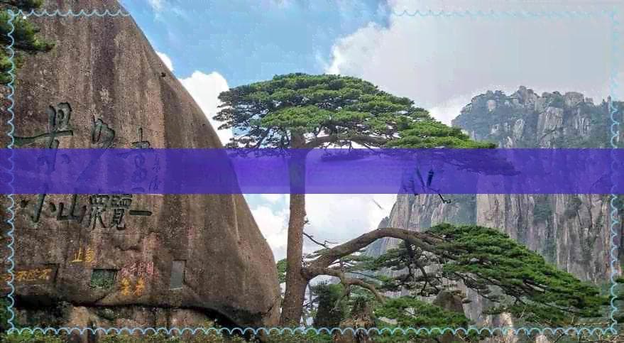 海南同学聚会旅游景点推荐