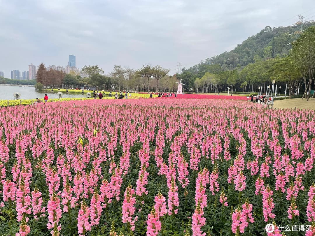 探秘顺德顺峰山：一场静谧与文化的邂逅