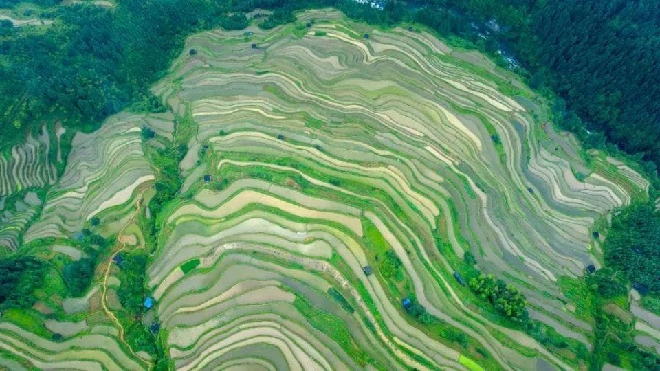加榜梯田——月亮山腹地的绝世秘境