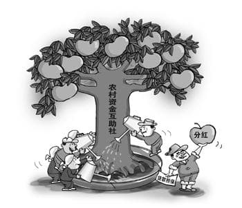 河南郝堂村"内置金融"：一个资金互助社救活一个村