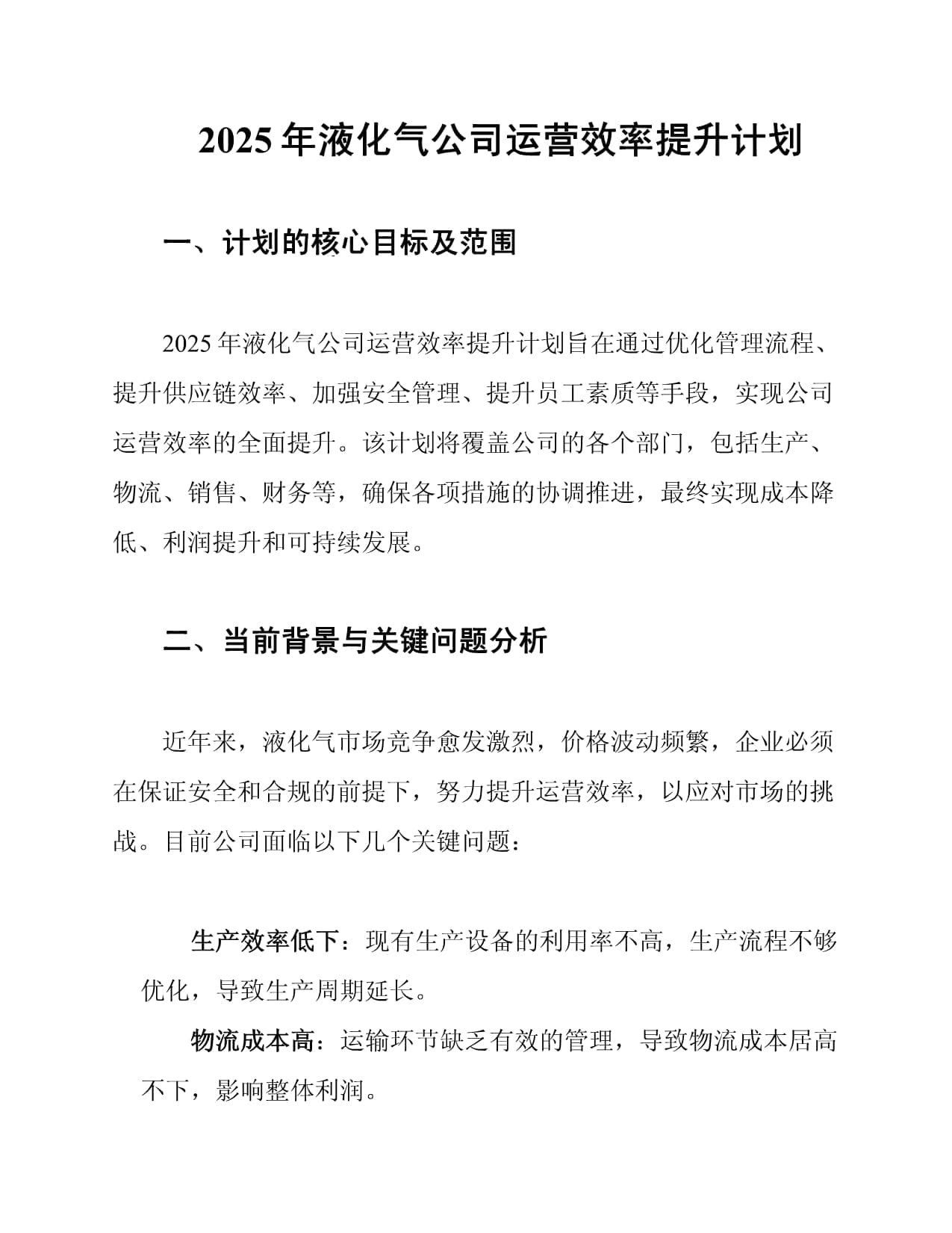 2025年液化气公司运营效率提升计划