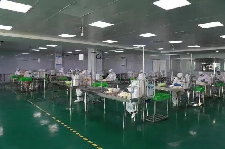 兰州七里河区：百合产业带动乡村振兴，农户收入持续增长