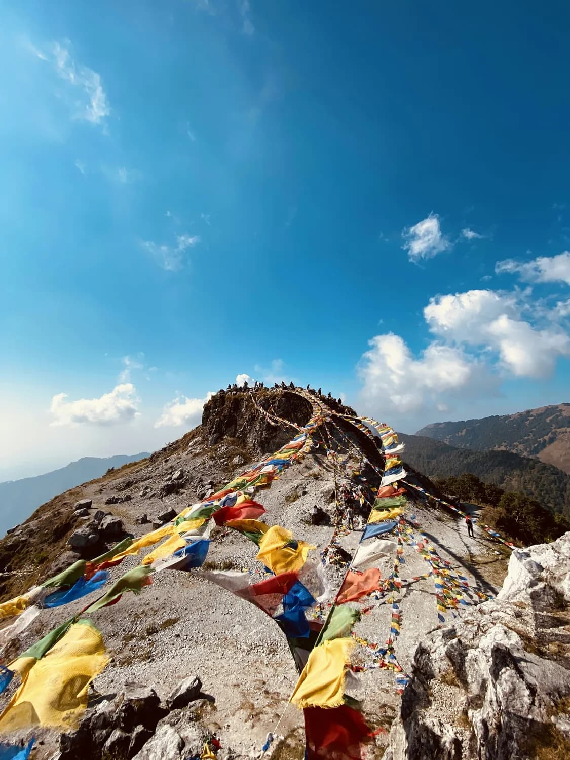 牛背山旅游攻略：四川最美打卡地