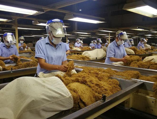 中国烟草究竟有多赚钱？一年缴税1.44万亿，军费贡献了大部分