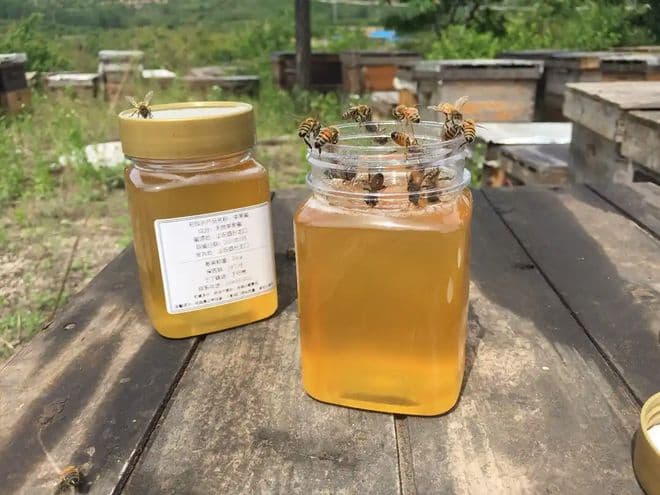 苹果蜜和槐花蜜哪个好？
