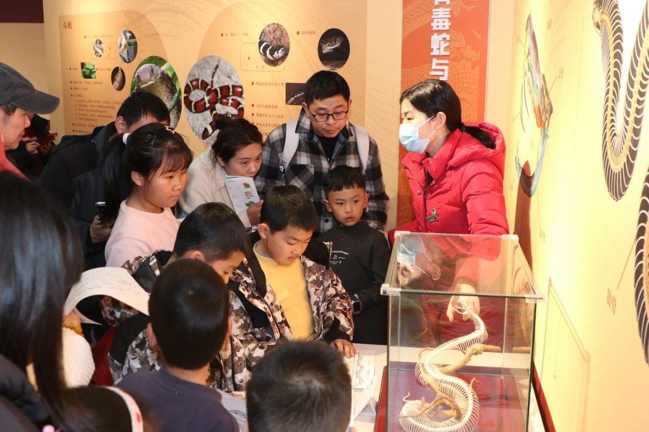 灵蛇贺岁探自然 浙江自然博物院春节活动吸引14.5万人次