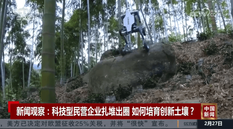 科技型民营企业扎堆出圈 如何培育创新土壤？