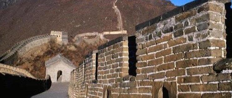 牛奶与玉米的营养搭配研究