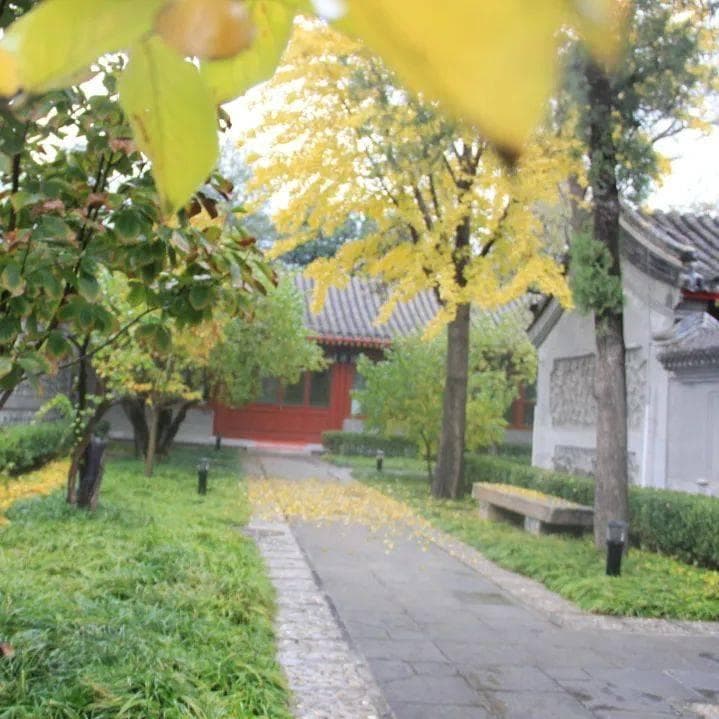 罗安宪：为师有为师之道