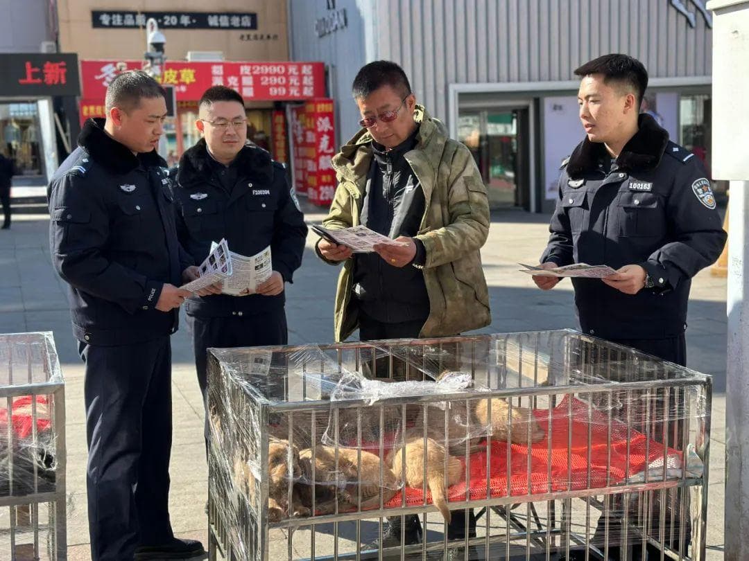 请多一份关注给森林 共同守护“森森”不息的家园